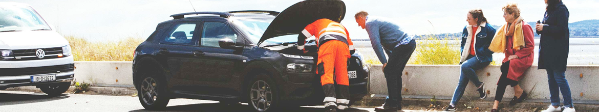GEM Motoring Assist