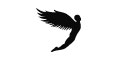 Flysports